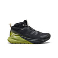 Mens Targhee Apex Waterproof Hiking Boot BlackGolden Cypress