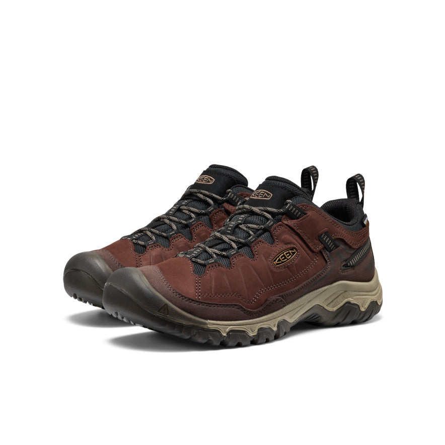 Mens Targhee IV Waterproof Hiking Shoe JavaBison