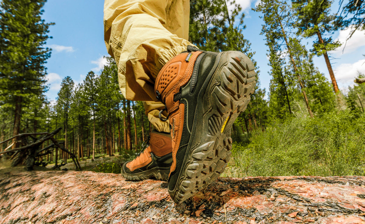 Mens Targhee IV Waterproof Hiking Boot BisonBlack