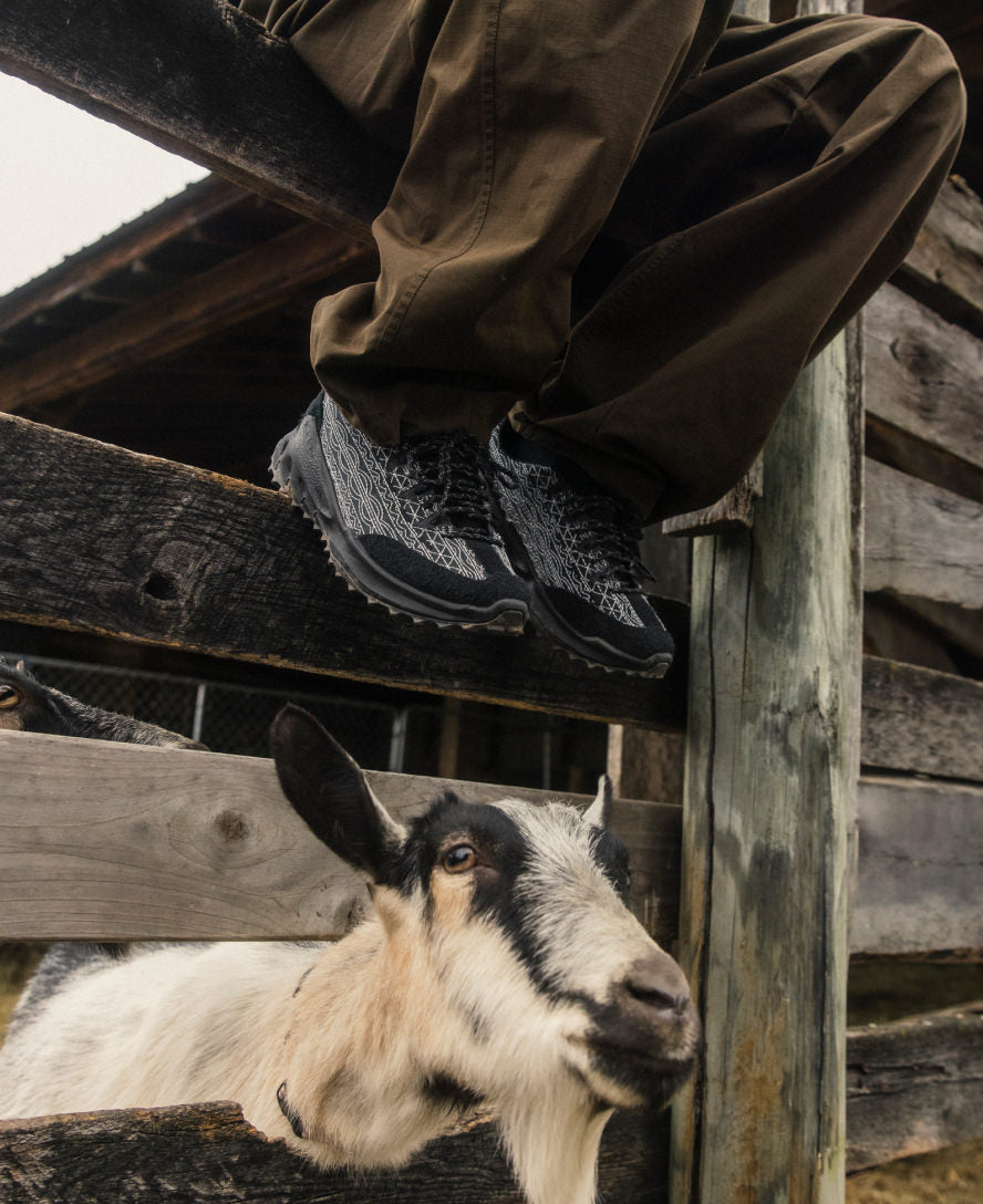 Mens Jasper Zionic 18 East Sneaker BlackBlack