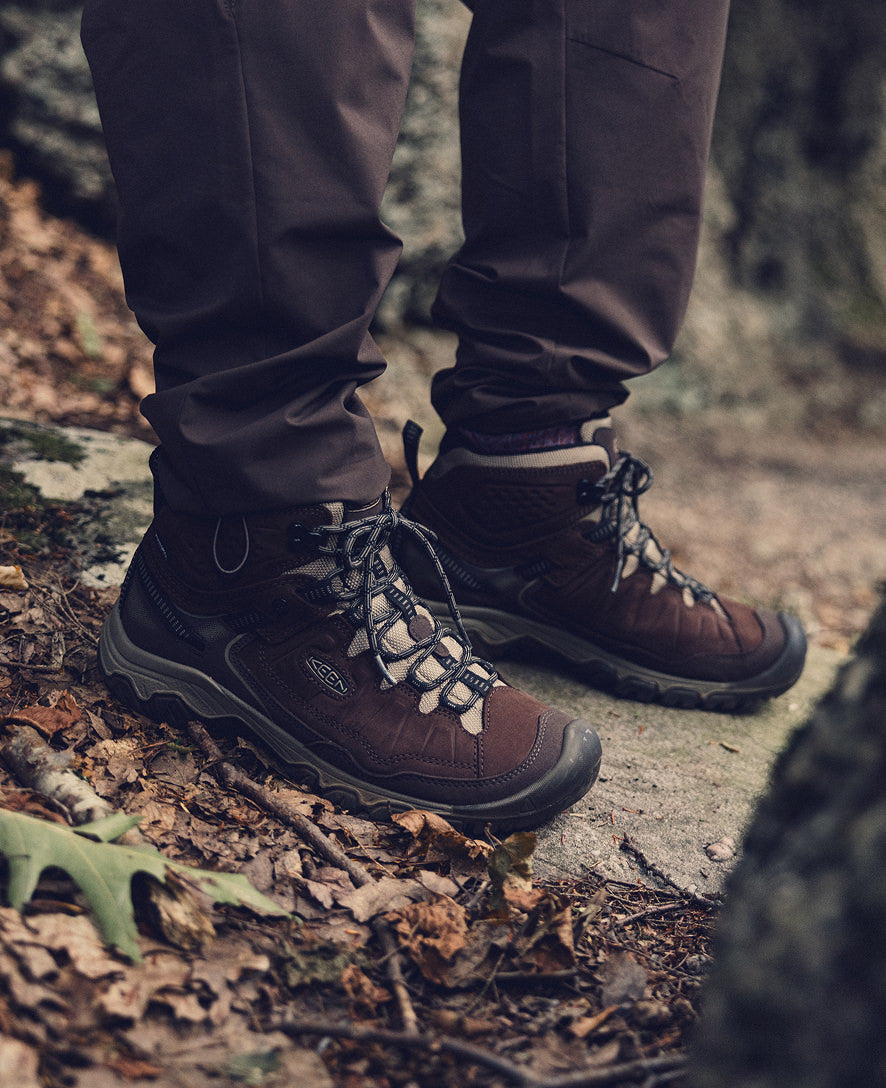 Mens Targhee IV Waterproof Hiking Boot JavaBrindle