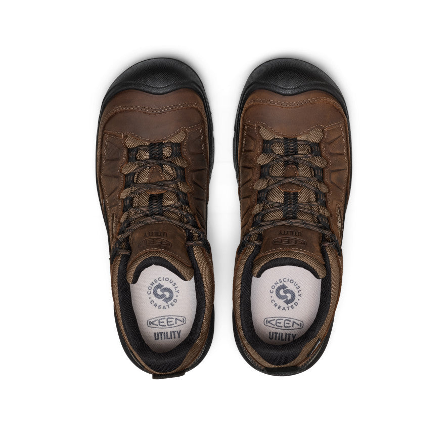 Mens Targhee IV Waterproof Work Shoe Carbon Toe Dark EarthBlack