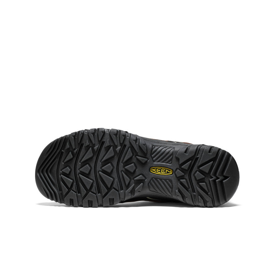Mens Targhee IV Wide Waterproof Hiking Shoe BisonBlack