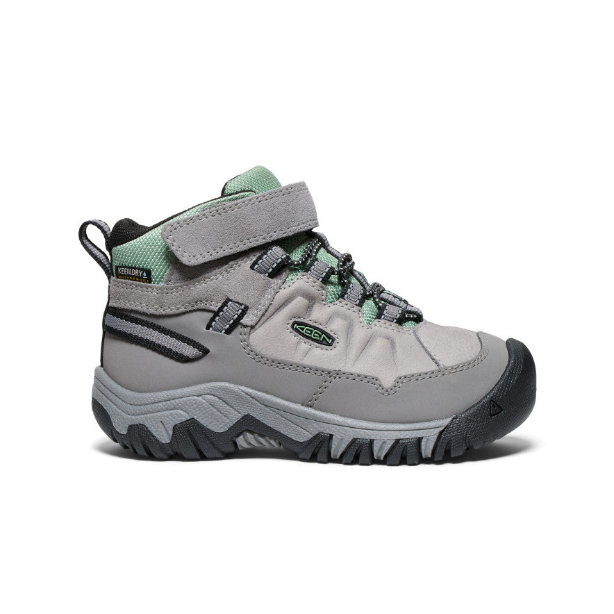 Little Kids Targhee IV Waterproof Hiking Boot AlloyGranite Green